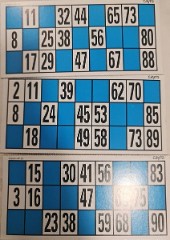 17: 22-05-24-Quiz-Bingo-22