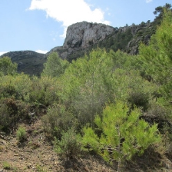 30.05. - Rundwanderung Vall d'Albaida