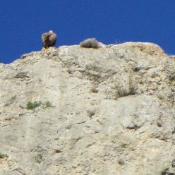 19-10-02-Albarracin-19