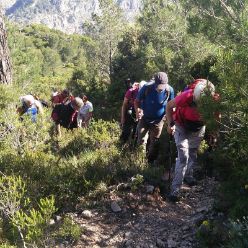19-05-15-Safor-Gipfel-13