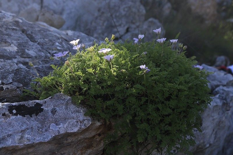 19-09-18-Sierra-de-Carrascal-26