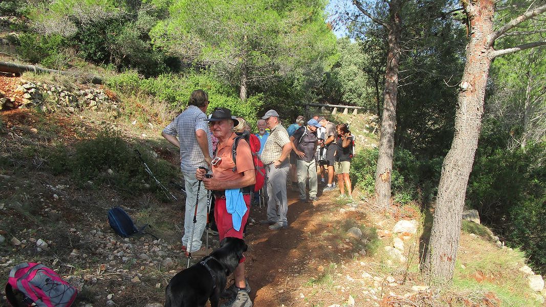 19-09-18-Vall-de-Pop-06