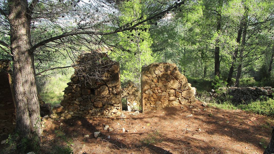 19-09-18-Vall-de-Pop-11