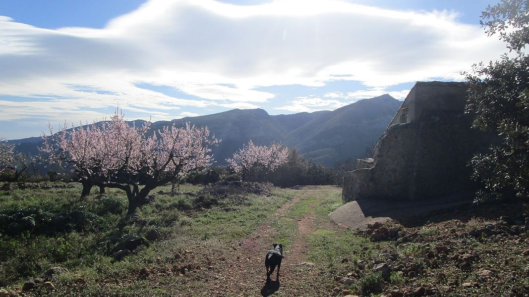 19-01-30-Vall-de-Laguart2-09