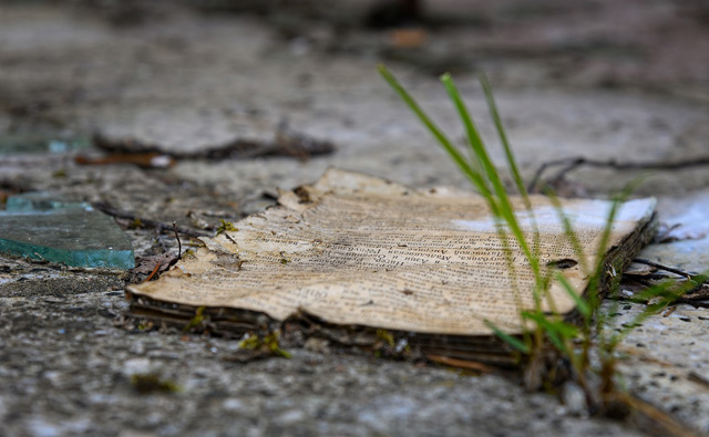 Rückblick 2007 – 2008