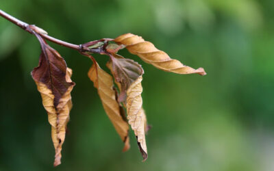 Jahresrückblick 2013