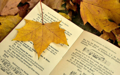 Jahresrückblick 2015