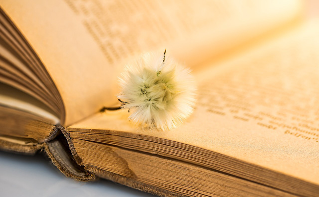 Jahresrückblick 2018