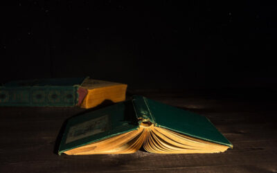 Jahresrückblick 2020