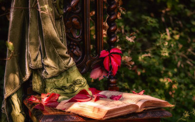 Jahresrückblick 2024