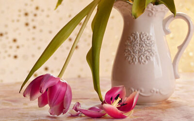 Jahresrückblick 2025