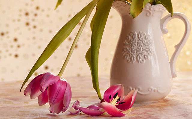 Jahresrückblick 2025